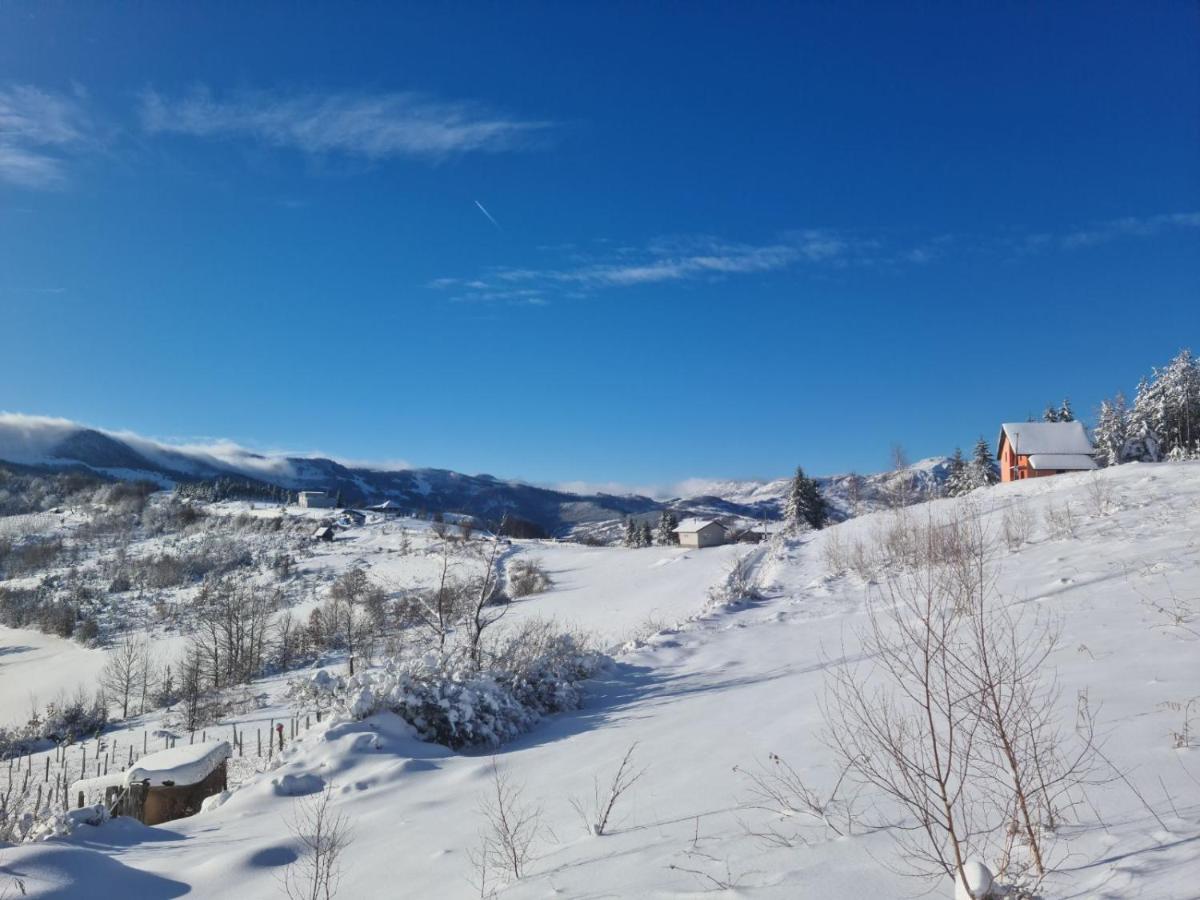 Cortina Resort 伊万尼察 外观 照片