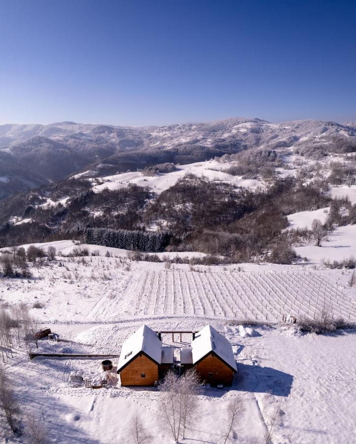 Cortina Resort 伊万尼察 外观 照片