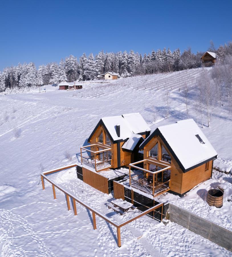 Cortina Resort 伊万尼察 外观 照片