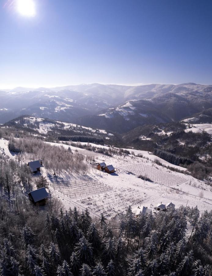 Cortina Resort 伊万尼察 外观 照片