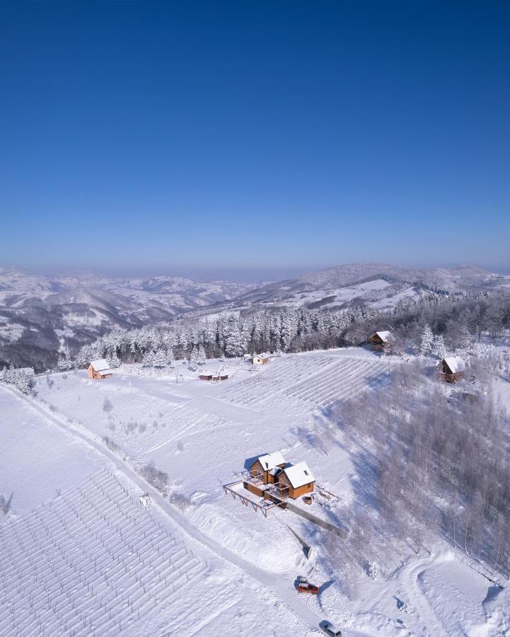 Cortina Resort 伊万尼察 外观 照片