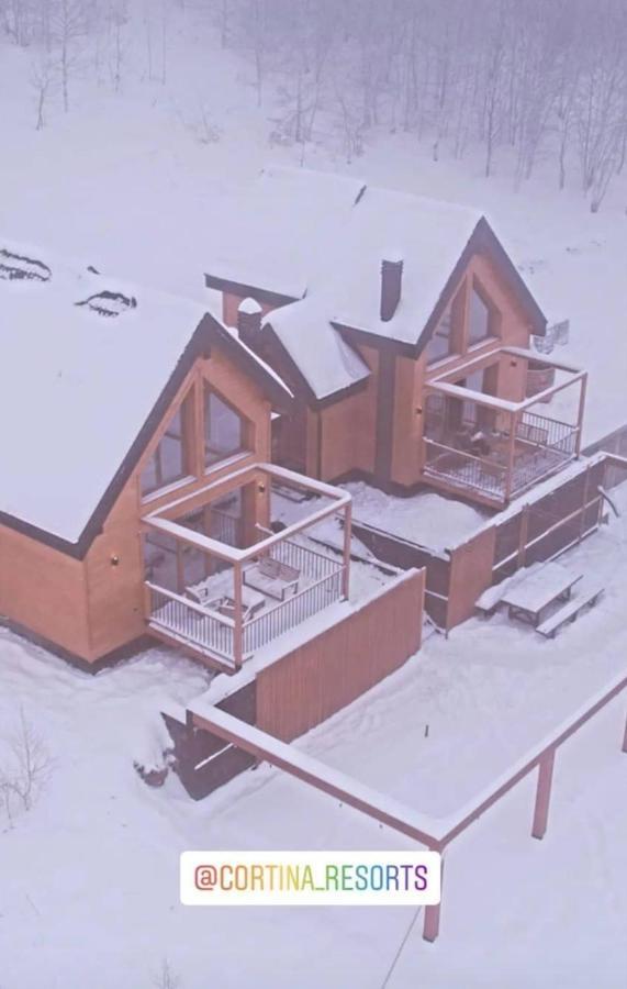 Cortina Resort 伊万尼察 外观 照片